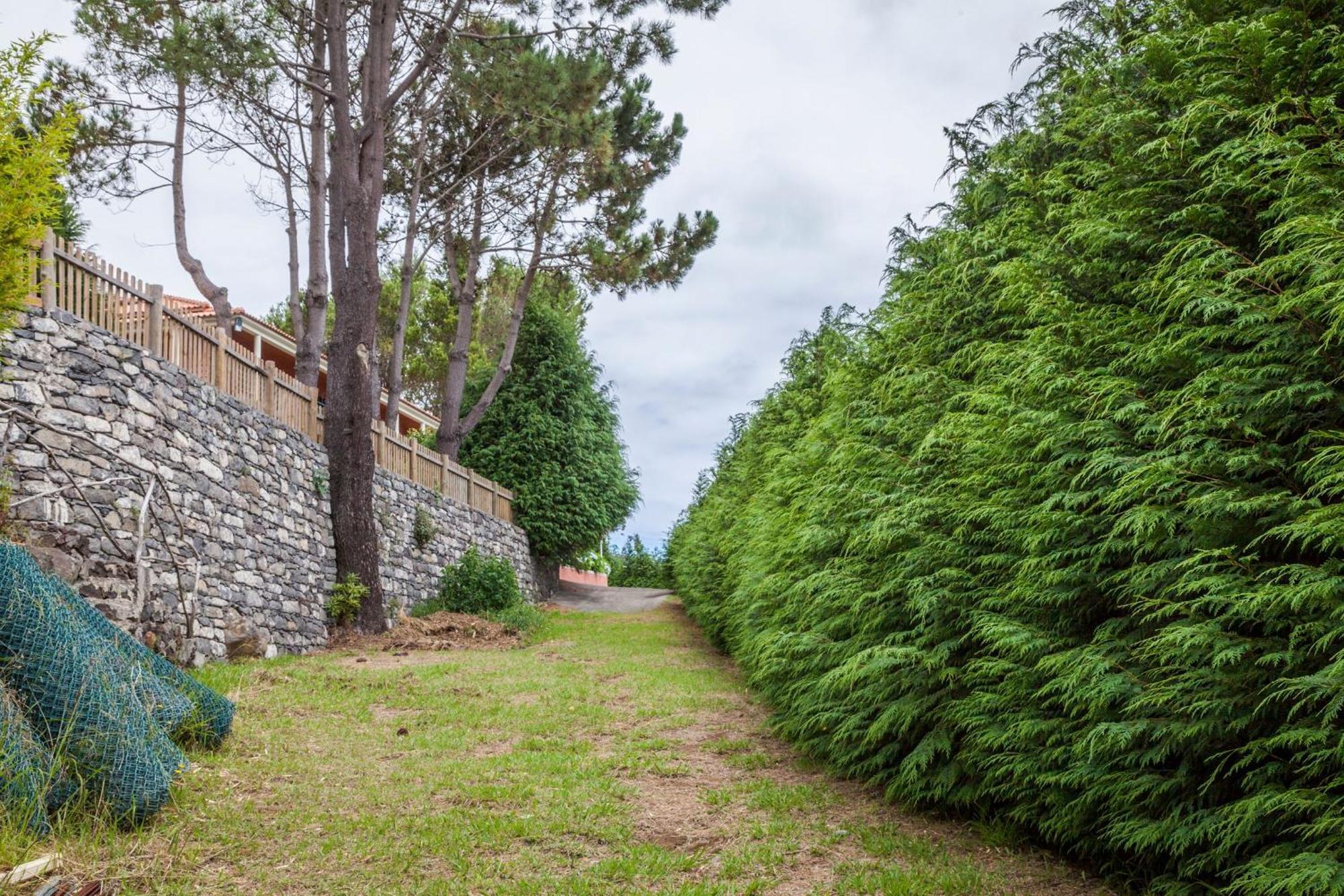 Quinta Do Santo By Lovelystay Santo Antonio da Serra Exterior photo